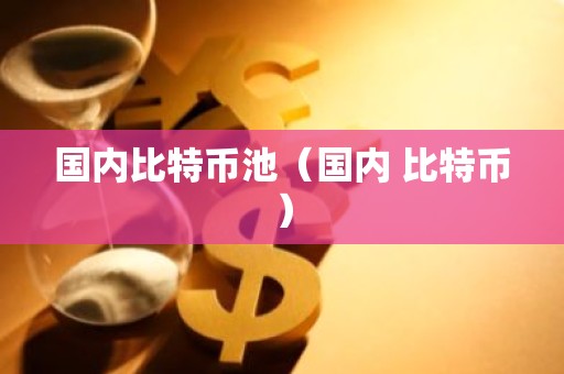 国内比特币池（国内 比特币）