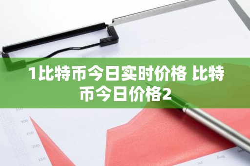 1比特币今日实时价格 比特币今日价格2