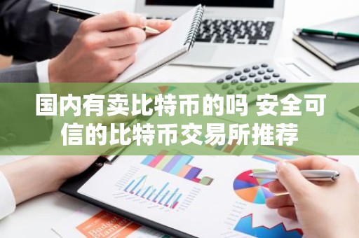国内有卖比特币的吗 安全可信的比特币交易所推荐