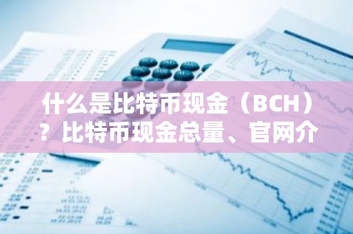 什么是比特币现金（BCH）？比特币现金总量、官网介绍