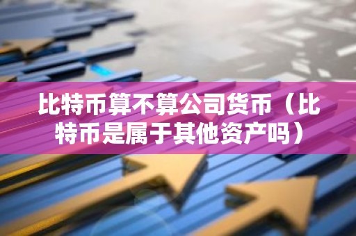 比特币算不算公司货币（比特币是属于其他资产吗）