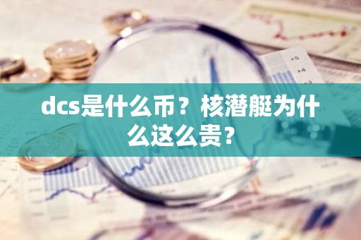 dcs是什么币？核潜艇为什么这么贵？