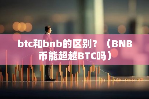 btc和bnb的区别？（BNB币能超越BTC吗）