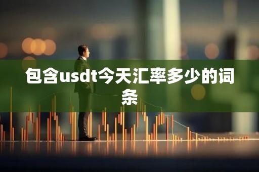 包含usdt今天汇率多少的词条