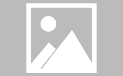 天天基金网打新基金（天天基金网打新基金下载）